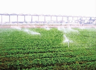 <b>你確定你真的了解大量元素水溶肥嗎？</b>