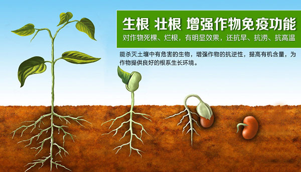 <b>為什么要用含腐植酸水溶肥？有哪些優(yōu)勢？</b>