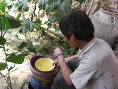 <b>水溶肥有什么優(yōu)勢？水溶肥的發(fā)展趨勢是什么？</b>