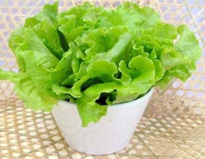 <b>秋季蔬菜如何進行補鈣？</b>