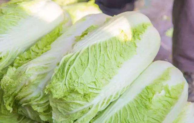 <b>秋白菜不同生長期應如何施肥？</b>