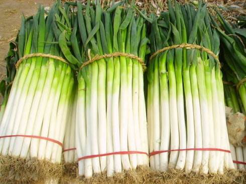 <b>大蔥種植高產(chǎn)施肥技術</b>