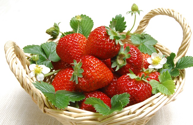 <b>草莓施什么水溶肥果大味甜？</b>
