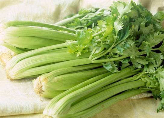 <b>芹菜缺硼缺鈣的原因有哪些？如何防治？</b>