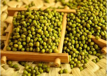 <b> 種植綠豆應(yīng)當(dāng)如何施肥？</b>