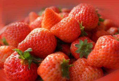 <b>草莓爛果、果不紅就用北美農(nóng)大草莓專用肥料</b>