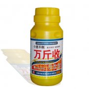 【萬斤收】 小麥葉面肥調節(jié)劑