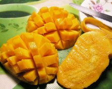 <b>芒果想高產(chǎn)，施肥是關(guān)鍵！</b>