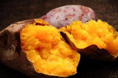 <b>紅薯種植想高產(chǎn)，這幾個(gè)“雷區(qū)”需注意</b>