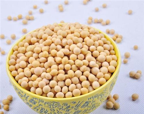 黃豆應該怎么施肥？