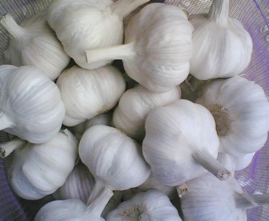 大蒜生長(zhǎng)期應(yīng)用微量元素肥？