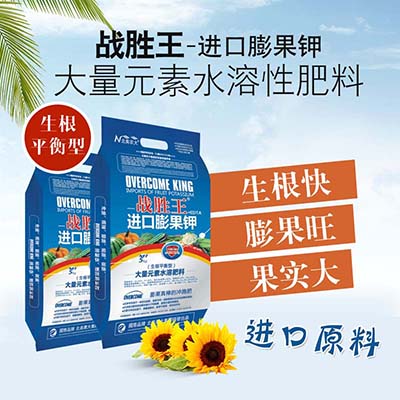 西蘭花應(yīng)該如何施肥？水溶肥怎么施用？