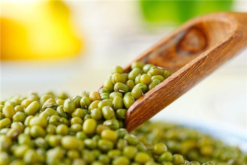 種植綠豆應(yīng)當(dāng)如何施肥？