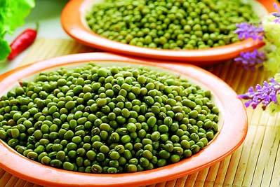 種植綠豆應(yīng)當(dāng)如何施肥？