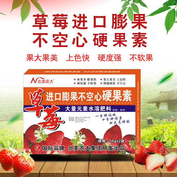 草莓果小怎么辦？草莓膨果不空心的方法！